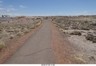 195 a03. Petrified Forest National Park - Crystal Forest hike