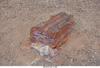 200 a03. Petrified Forest National Park - Crystal Forest hike + petrified log