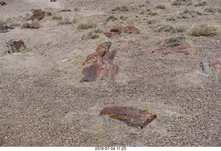 201 a03. Petrified Forest National Park - Crystal Forest hike + petrified logs