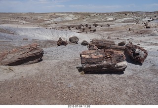 204 a03. Petrified Forest National Park - Crystal Forest hike + petrified logs