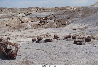 205 a03. Petrified Forest National Park - Crystal Forest hike + petrified logs