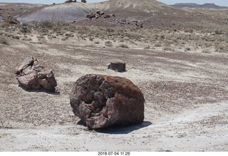 206 a03. Petrified Forest National Park - Crystal Forest hike + petrified logs