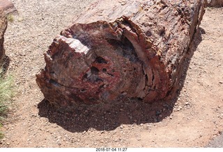 210 a03. Petrified Forest National Park - Crystal Forest hike + petrified log