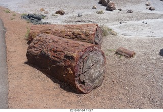 212 a03. Petrified Forest National Park - Crystal Forest hike + petrified logs