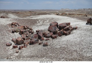 218 a03. Petrified Forest National Park - Crystal Forest hike + petrified logs