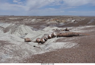 219 a03. Petrified Forest National Park - Crystal Forest hike + petrified logs