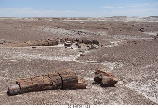 220 a03. Petrified Forest National Park - Crystal Forest hike + petrified logs