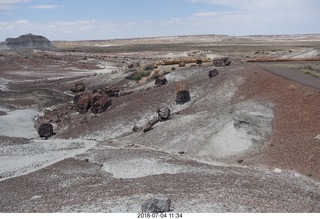 221 a03. Petrified Forest National Park - Crystal Forest hike + petrified logs