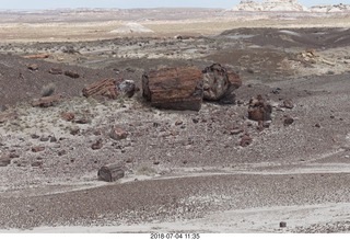 223 a03. Petrified Forest National Park - Crystal Forest hike + petrified logs