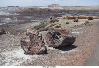 225 a03. Petrified Forest National Park - Crystal Forest hike + petrified logs