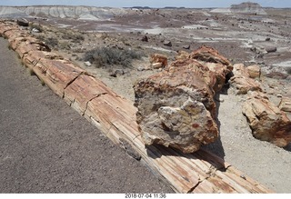 228 a03. Petrified Forest National Park - Crystal Forest hike + petrified logs