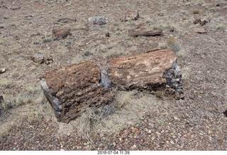 238 a03. Petrified Forest National Park - Crystal Forest hike + petrified logs