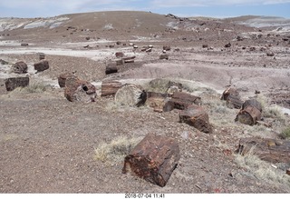 240 a03. Petrified Forest National Park - Crystal Forest hike + petrified logs