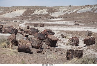 241 a03. Petrified Forest National Park - Crystal Forest hike + petrified logs