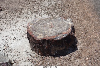 243 a03. Petrified Forest National Park - Crystal Forest hike + petrified log