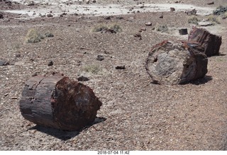 244 a03. Petrified Forest National Park - Crystal Forest hike + petrified logs