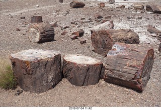 246 a03. Petrified Forest National Park - Crystal Forest hike + petrified logs