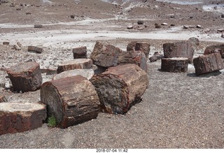 247 a03. Petrified Forest National Park - Crystal Forest hike + petrified logs