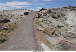 255 a03. Petrified Forest National Park - Crystal Forest hike + petrified logs