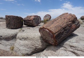 260 a03. Petrified Forest National Park - Crystal Forest hike + petrified logs