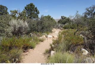 Las Vegas - Red Rock Canyon - thirteen mile drive - Pine Creek Canyon hike