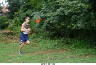 Curtis Arboretum - Cheltenham XC alumni race - tree stump