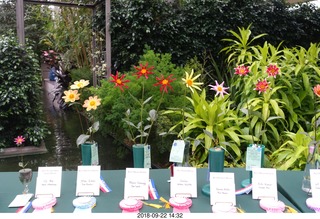 Longwood Gardens - flowers