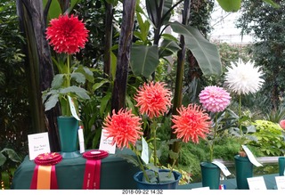 Longwood Gardens - flowers