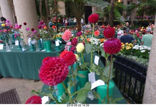 Schubels - Longwood Gardens - flowers
