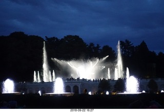 Schubels - Longwood Gardens - giant lilies