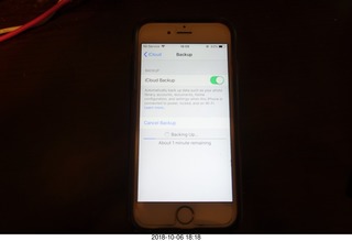 Cecelia with iPhone