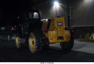 cat picture (not feline)