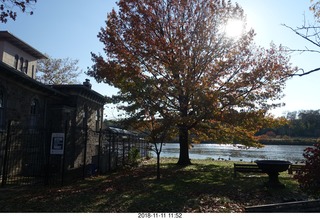 East River Drive (Kelly Drive) walk