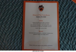 Princeton Alumni Day - skeleton tigers