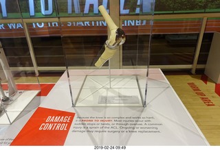 47 a0a. Philadelphia - The Franklin Institute Science Museum - knee exhibit