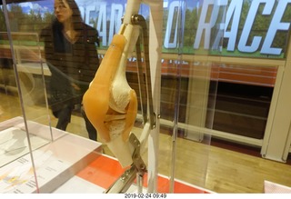48 a0a. Philadelphia - The Franklin Institute Science Museum - knee exhibit