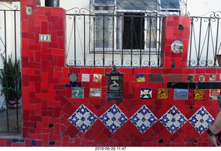 Rio de Janeiro - city tour Lapa Steps (Selarn's Staircase) - cat