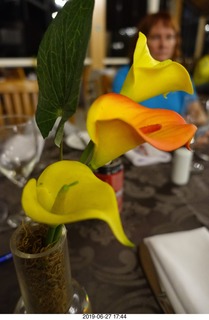 278 a0e. Recanto Cataratas Hotel - restaurant - flowers