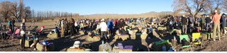 260 a0f. after the eclipse