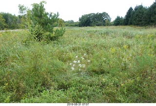 Afton, Minnesota, run