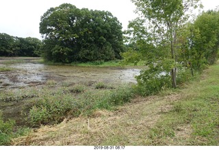 Minnesota - Afton run - tractor