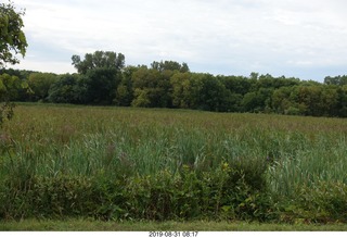 Minnesota - Afton run