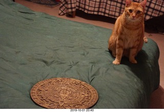 664 a0j. my cat Max and my bronze Aztec calendar