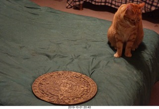 665 a0j. my cat Max and my bronze Aztec calendar