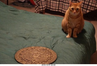 666 a0j. my cat Max and my bronze Aztec calendar