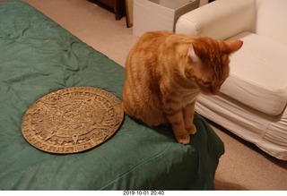 670 a0j. my cat Max and my bronze Aztec calendar