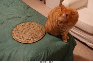 672 a0j. my cat Max and my bronze Aztec calendar