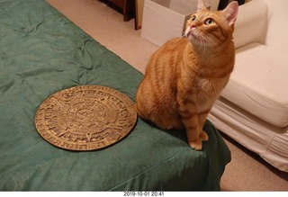 676 a0j. my cat Max and my bronze Aztec calendar