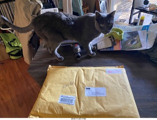 calendar package + my cat Devin