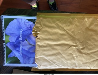 Eagle Roost fly-in - strange prints on the wing